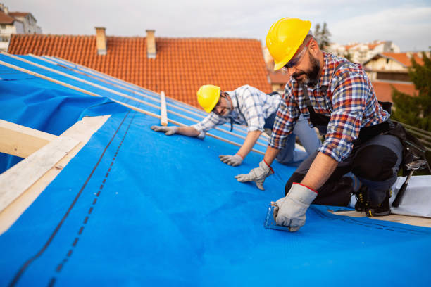 Best Sheet Metal Roofing  in Mansfield, OH